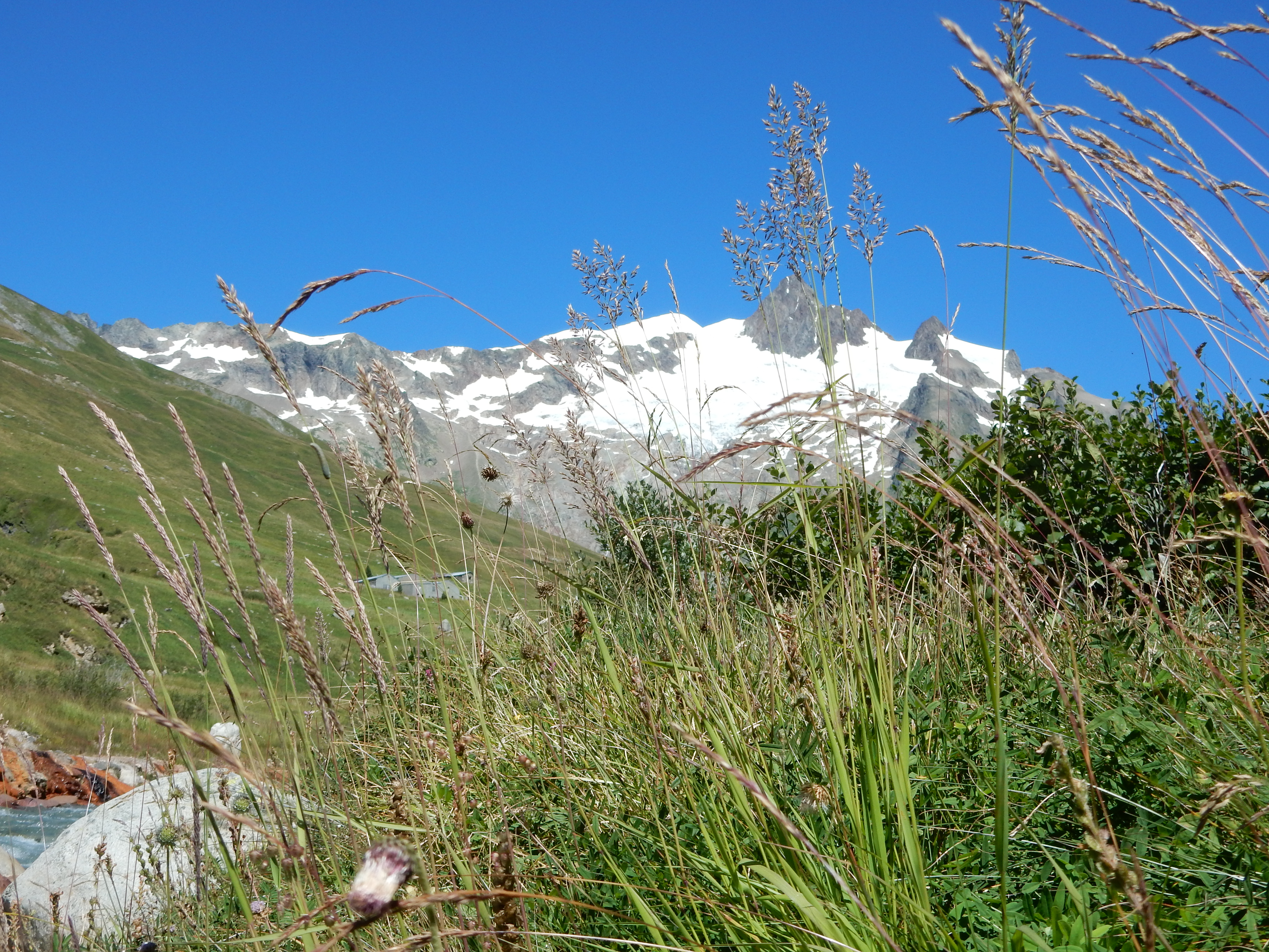 Tour du Mont-Blanc - Aiguille des Glaciers