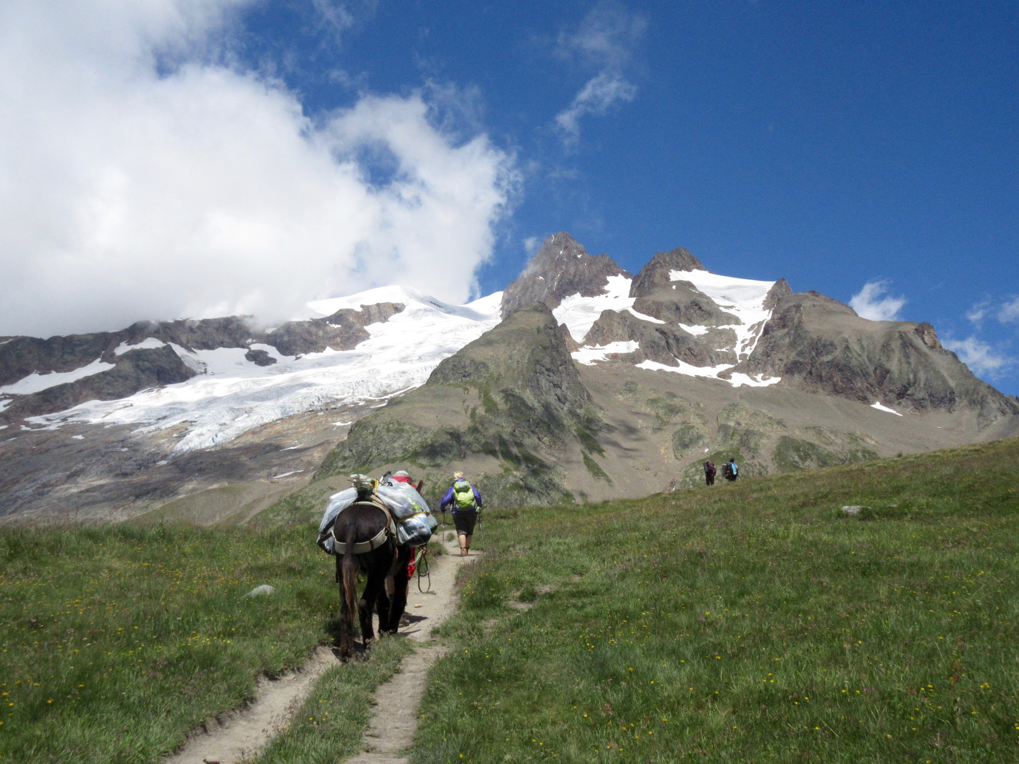 Tour du Mont-Blanc famille - Aiguille des Glaciers