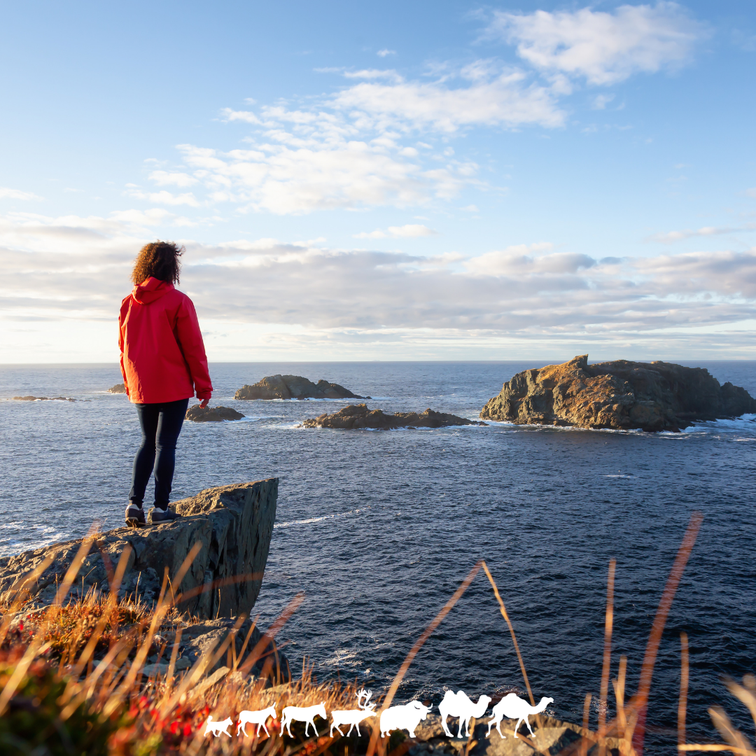 Voyage Amériques Canada