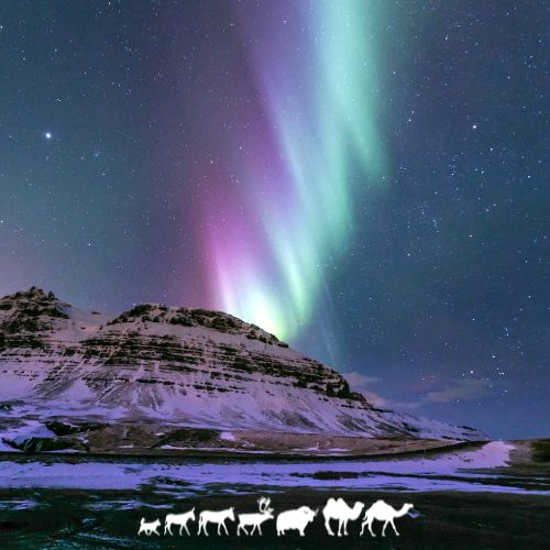 Voyage Europe Islande