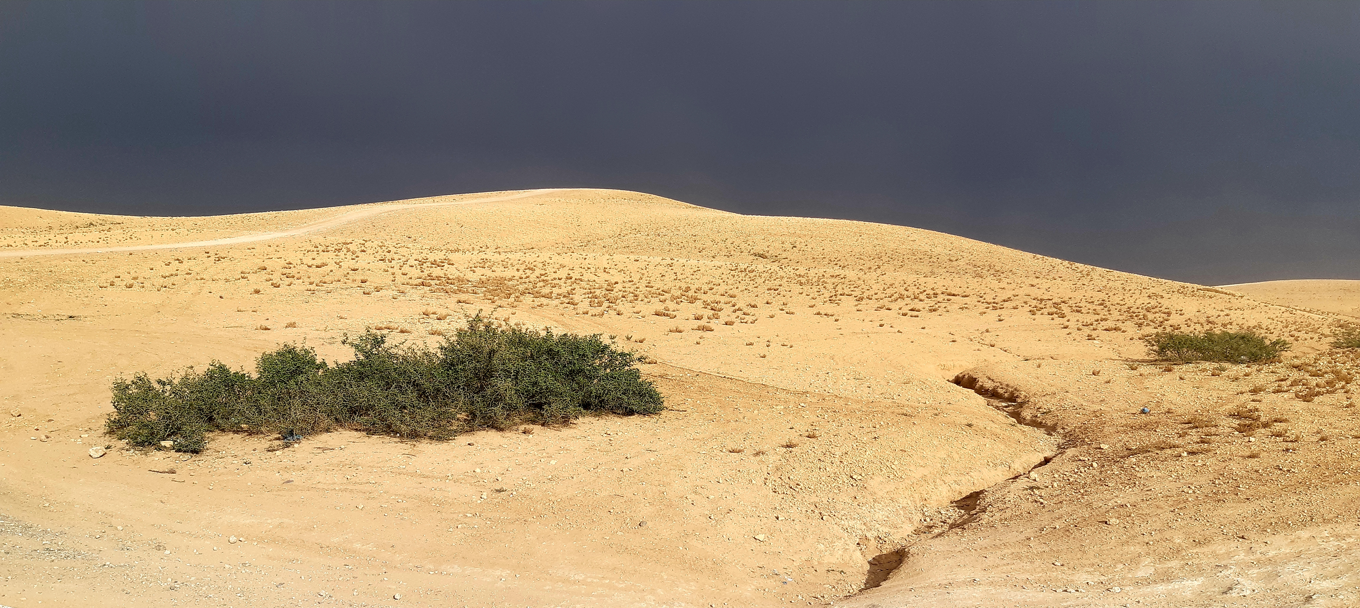 Voyage Afrique Maroc
